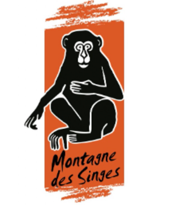 MONTAGNE DES SINGES