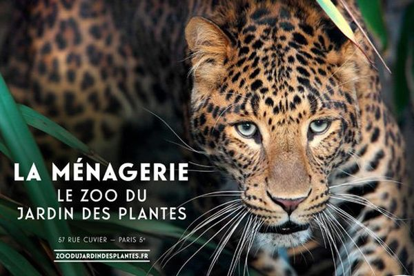 Accs Culture - MENAGERIE - ZOO JARDIN DES PLANTES