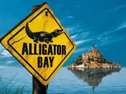 Photo de ALLIGATOR BAY