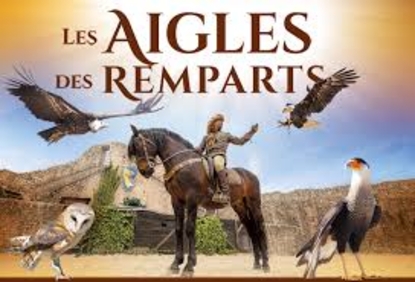 Photo de LES AIGLES DES REMPARTS